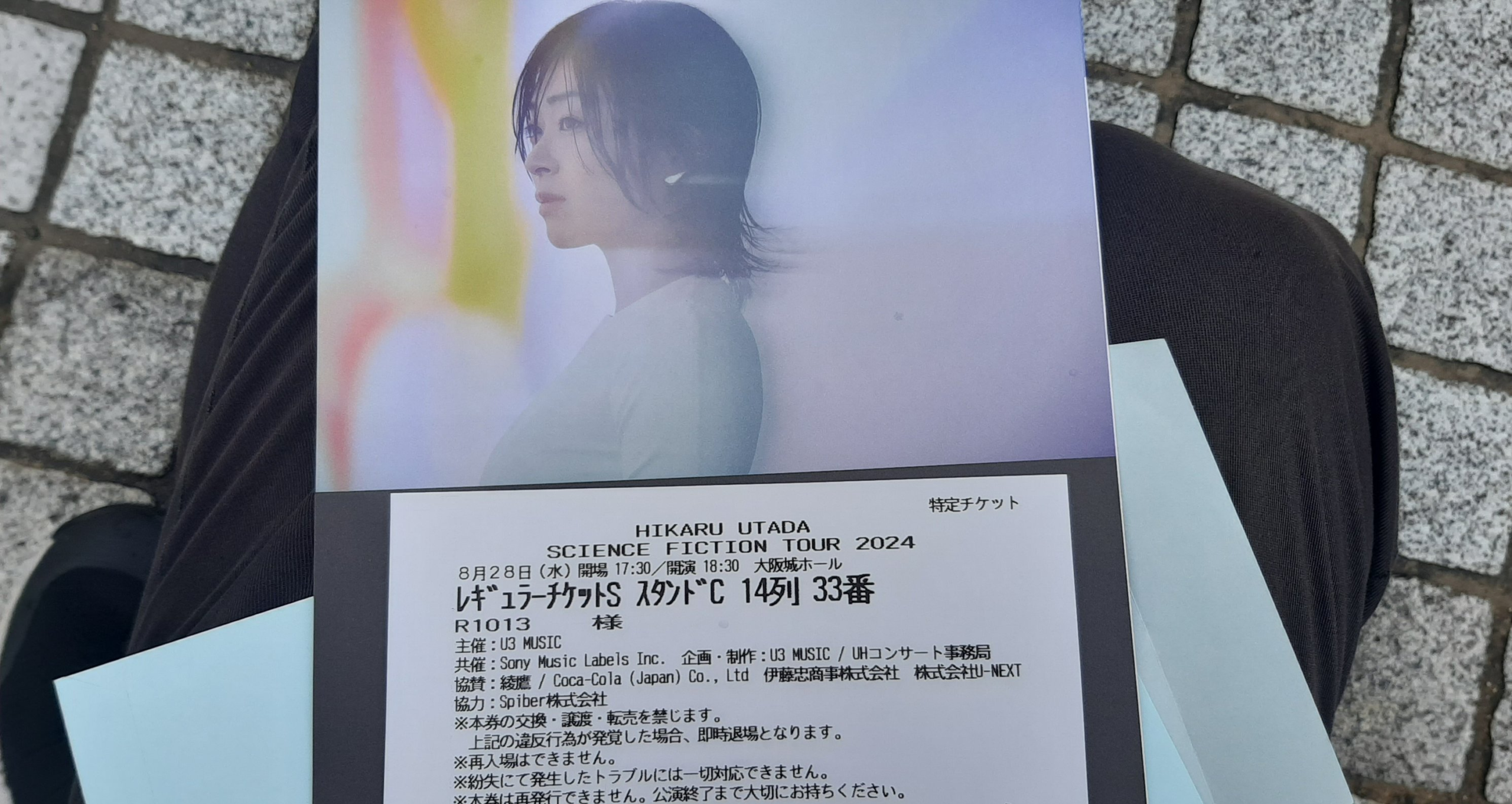 宇多田ヒカル　2024　大阪城ホールライブ　紙チケット